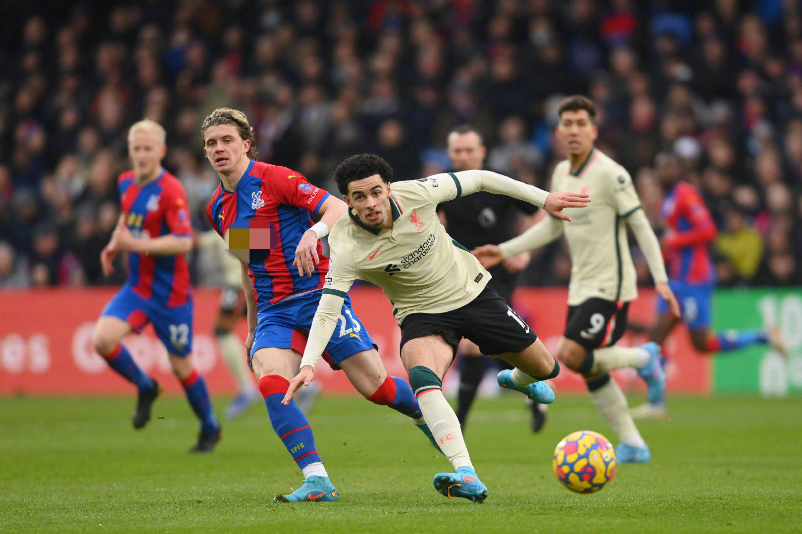 引起了全场 引起了全场